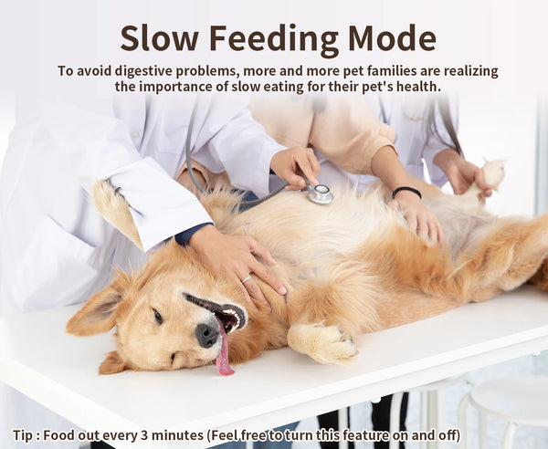 Smart Pet Feeder with App Control